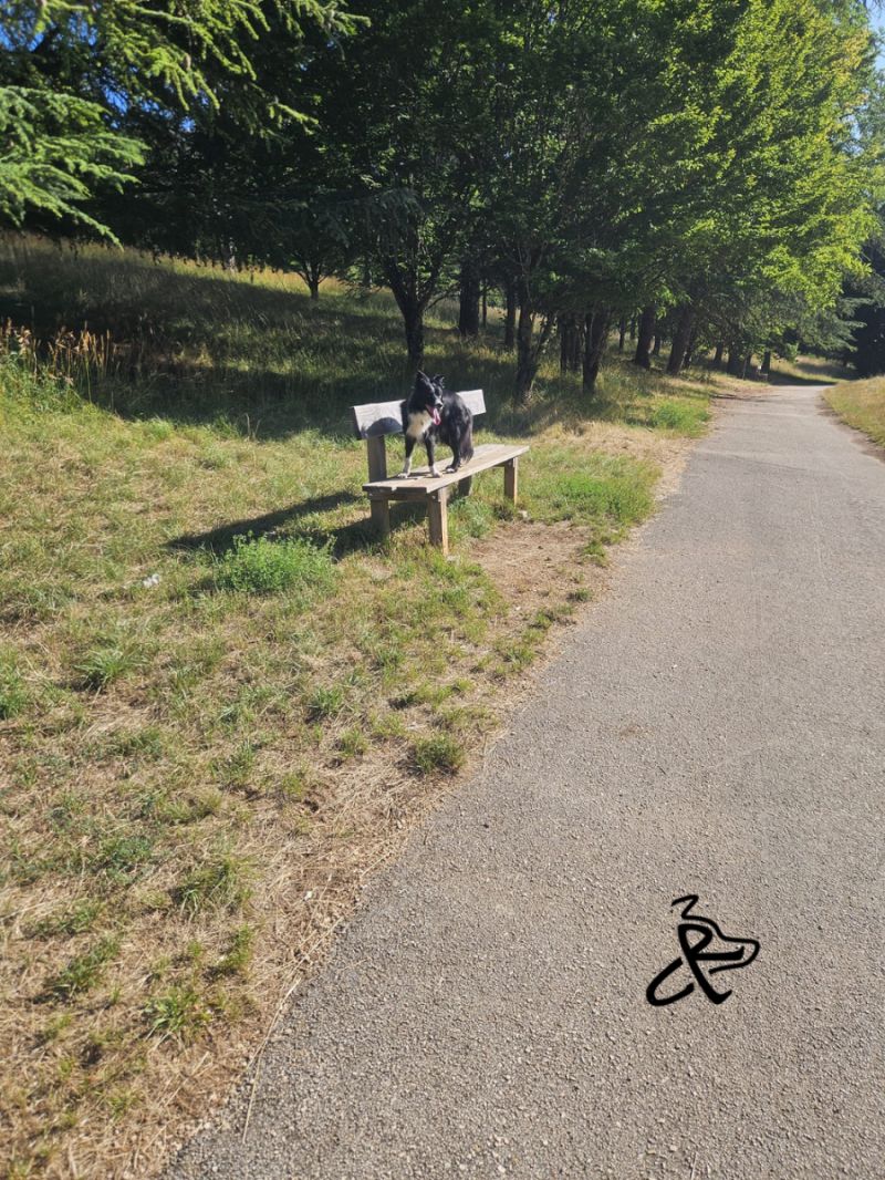 Aucune description alternative pour cette image