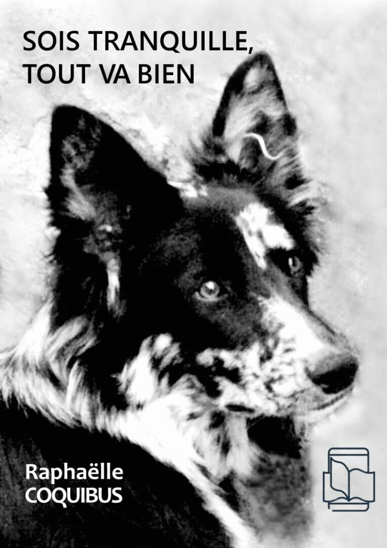 Aucune description alternative pour cette image