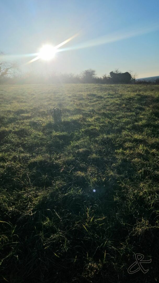 Aucune description alternative pour cette image