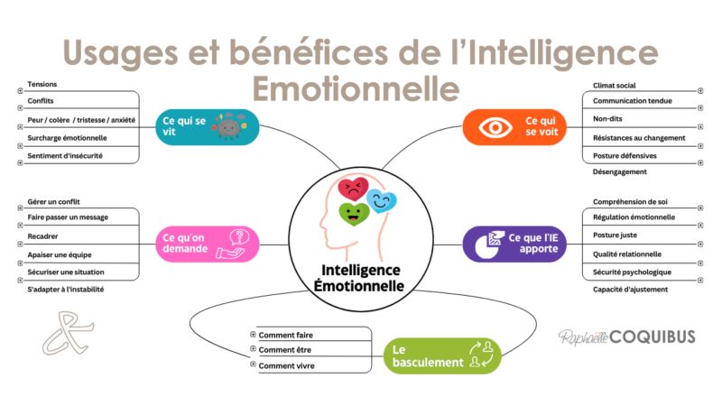 Aucune description alternative pour cette image