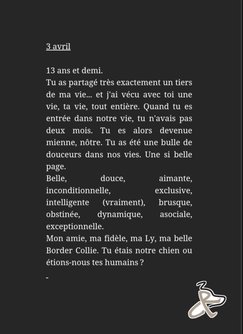 Aucune description alternative pour cette image