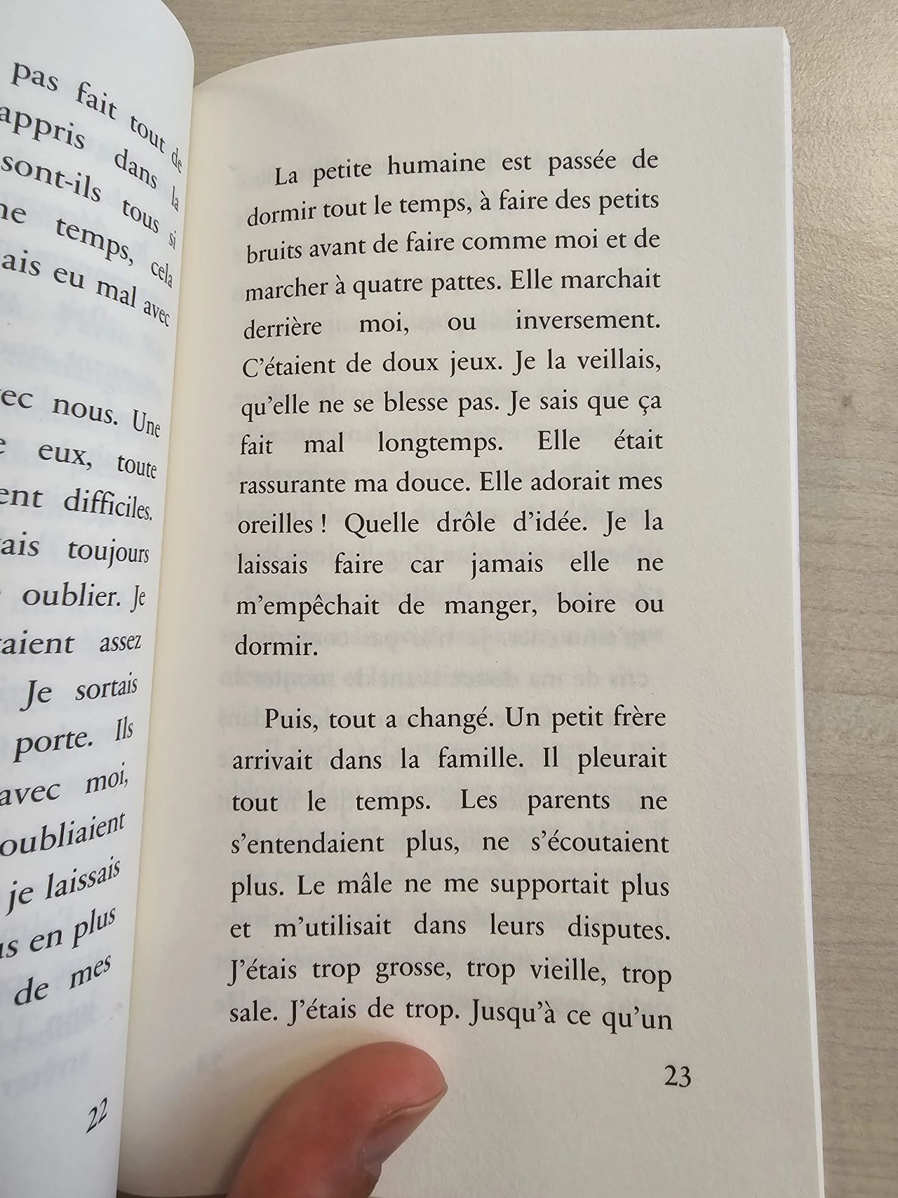 Voir la photo